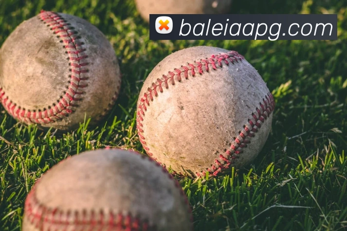 pg官网服务体系